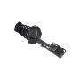FCS Struts 2333378R Suspension Strut and Coil Spring Assembly