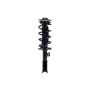 FCS Struts 2333392L Suspension Strut and Coil Spring Assembly