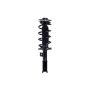 FCS Struts 2333392R Suspension Strut and Coil Spring Assembly