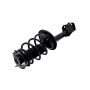 FCS Struts 2333393L Suspension Strut and Coil Spring Assembly
