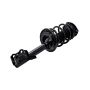 FCS Struts 2333393R Suspension Strut and Coil Spring Assembly