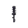 FCS Struts 2333402L Suspension Strut and Coil Spring Assembly