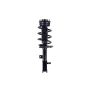FCS Struts 2333402R Suspension Strut and Coil Spring Assembly
