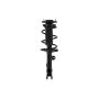 FCS Struts 2333412L Suspension Strut and Coil Spring Assembly