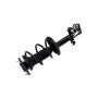 FCS Struts 2333412L Suspension Strut and Coil Spring Assembly