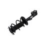 FCS Struts 2333412R Suspension Strut and Coil Spring Assembly