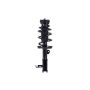 FCS Struts 2333415L Suspension Strut and Coil Spring Assembly