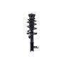 FCS Struts 2333415R Suspension Strut and Coil Spring Assembly