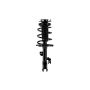 FCS Struts 2333444R Suspension Strut and Coil Spring Assembly