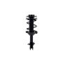 FCS Struts 2333445L Suspension Strut and Coil Spring Assembly