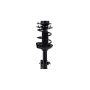 FCS Struts 2333445R Suspension Strut and Coil Spring Assembly