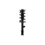 FCS Struts 2333447L Suspension Strut and Coil Spring Assembly