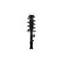 FCS Struts 2333450L Suspension Strut and Coil Spring Assembly