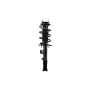 FCS Struts 2333450R Suspension Strut and Coil Spring Assembly