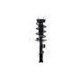 FCS Struts 2333451L Suspension Strut and Coil Spring Assembly