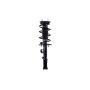 FCS Struts 2333451R Suspension Strut and Coil Spring Assembly