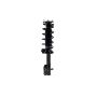 FCS Struts 2333453R Suspension Strut and Coil Spring Assembly
