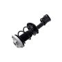 FCS Struts 2333461R Suspension Strut and Coil Spring Assembly