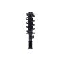 FCS Struts 2333467L Suspension Strut and Coil Spring Assembly