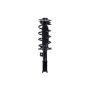 FCS Struts 2333467R Suspension Strut and Coil Spring Assembly