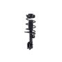 FCS Struts 2333476L Suspension Strut and Coil Spring Assembly