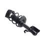 FCS Struts 2333476L Suspension Strut and Coil Spring Assembly