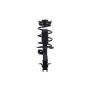 FCS Struts 2333476R Suspension Strut and Coil Spring Assembly