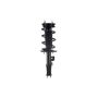FCS Struts 2333489L Suspension Strut and Coil Spring Assembly
