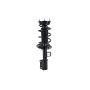 FCS Struts 2333489R Suspension Strut and Coil Spring Assembly
