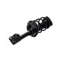 FCS Struts 2333491L Suspension Strut and Coil Spring Assembly
