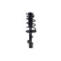 FCS Struts 2333492R Suspension Strut and Coil Spring Assembly