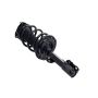 FCS Struts 2333492R Suspension Strut and Coil Spring Assembly