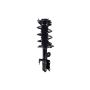 FCS Struts 2333494R Suspension Strut and Coil Spring Assembly