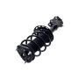 FCS Struts 2333494R Suspension Strut and Coil Spring Assembly