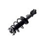 FCS Struts 2333505R Suspension Strut and Coil Spring Assembly