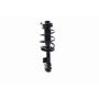 FCS Struts 2333505R Suspension Strut and Coil Spring Assembly