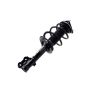 FCS Struts 2333505R Suspension Strut and Coil Spring Assembly