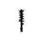 FCS Struts 2333532L Suspension Strut and Coil Spring Assembly