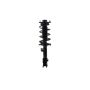 FCS Struts 2333532R Suspension Strut and Coil Spring Assembly