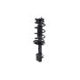 FCS Struts 2333560L Suspension Strut and Coil Spring Assembly