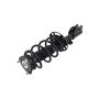 FCS Struts 2333560R Suspension Strut and Coil Spring Assembly