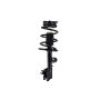 FCS Struts 2333564L Suspension Strut and Coil Spring Assembly
