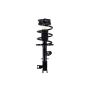 FCS Struts 2333564L Suspension Strut and Coil Spring Assembly