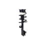 FCS Struts 2333564R Suspension Strut and Coil Spring Assembly