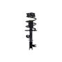 FCS Struts 2333564R Suspension Strut and Coil Spring Assembly
