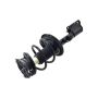 FCS Struts 2333564R Suspension Strut and Coil Spring Assembly