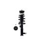 FCS Struts 2333714R Suspension Strut and Coil Spring Assembly