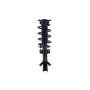 FCS Struts 2333737 Suspension Strut and Coil Spring Assembly