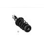 FCS Struts 2333742L Suspension Strut and Coil Spring Assembly