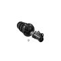 FCS Struts 2333742L Suspension Strut and Coil Spring Assembly